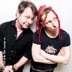 Abst�rzende Brieftauben