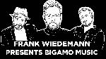 Frank Wiedemann presents Bigamo Musik