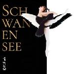Schwanensee - Moscow Classic Ballet