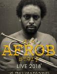 Die Afrob Story - Live 2018