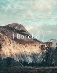 BONOBO + Very Special Guests