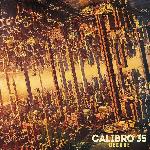 Calibro 35 (Record Kicks/ Italy) - Live