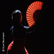Flamenco Vivo
