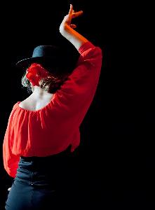 Flamenco Aficin